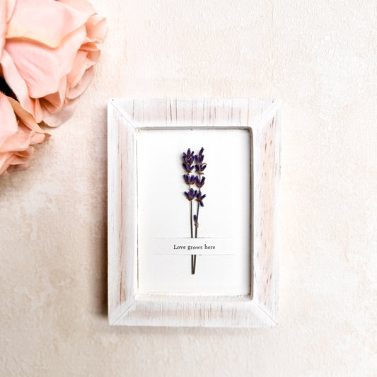 love grows here wooden box frame