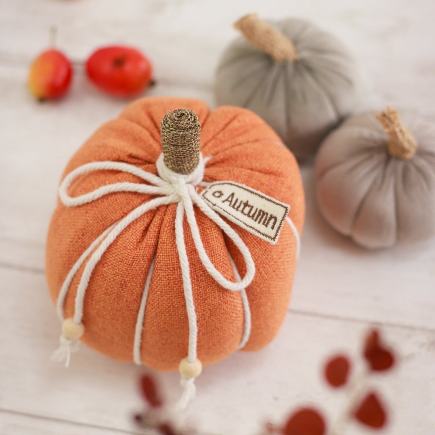Autumn orange pumpkin with berries on a white wash background
