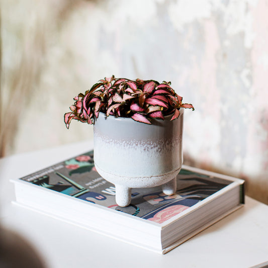 Mojave Grey Mini Planter
