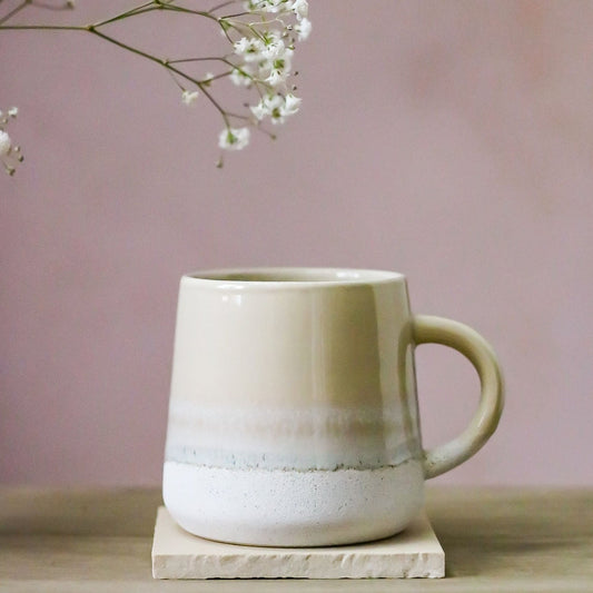 oatmeal mojave mug