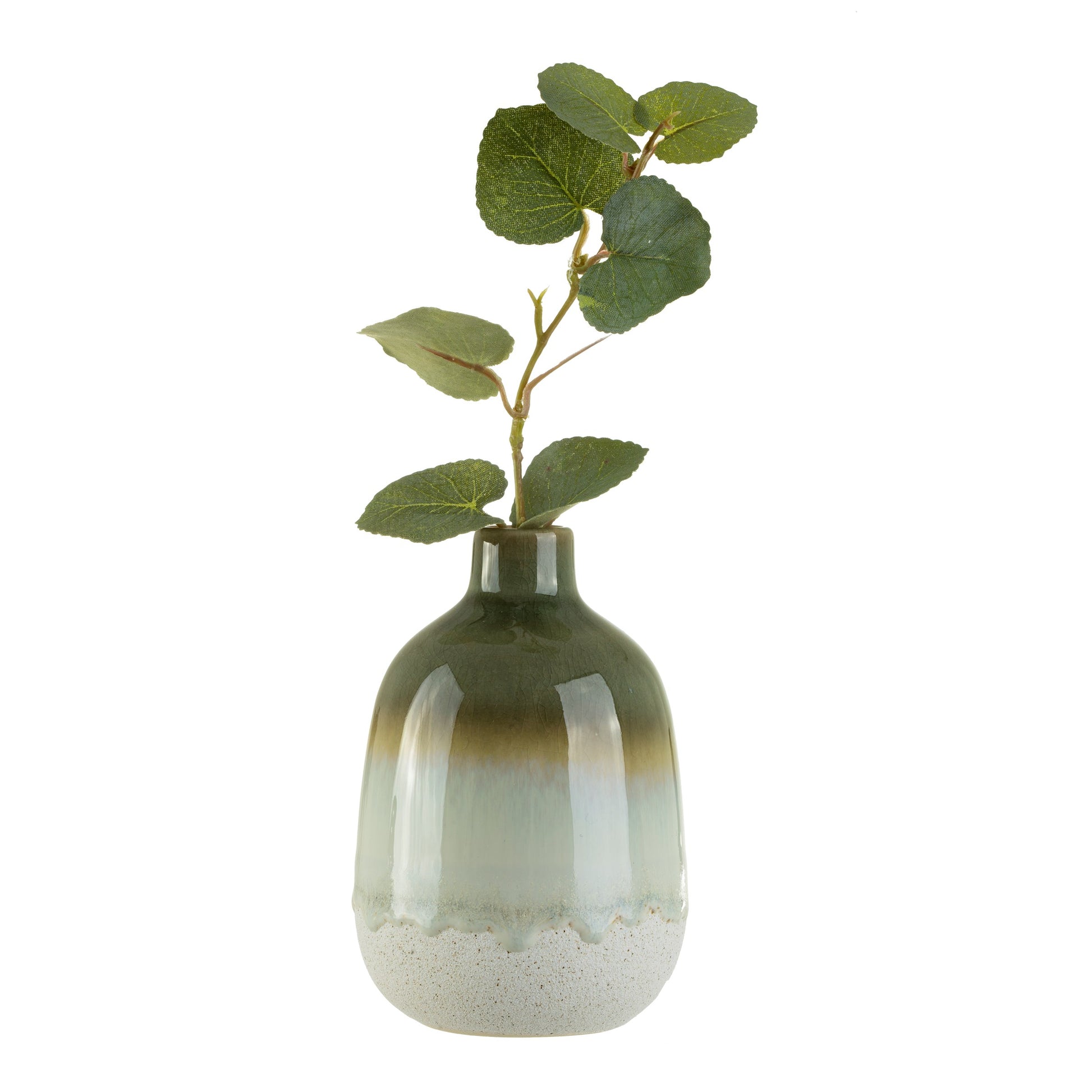 Green Ombre Bud Vase with green plant