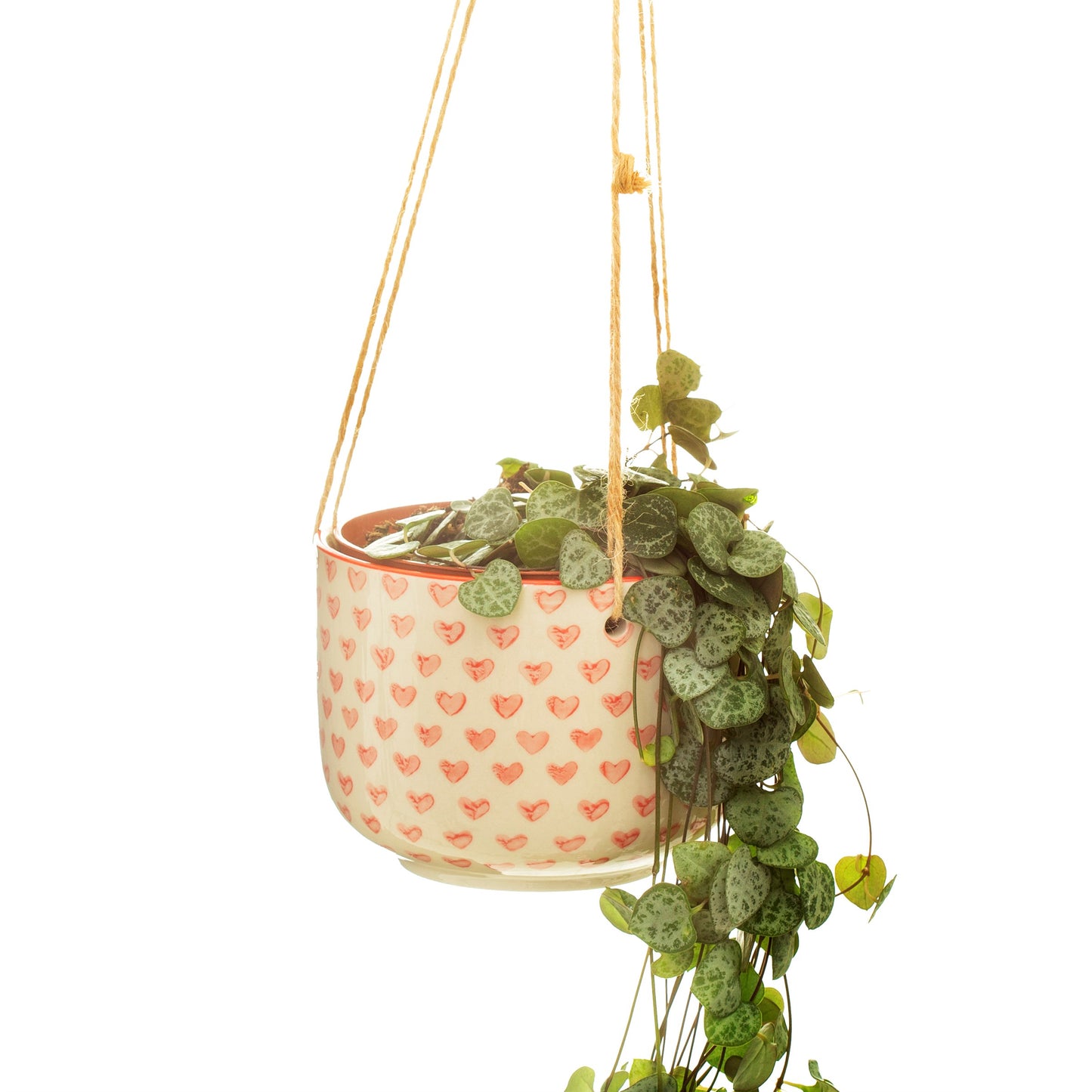 Red Hearts Hanging Planter